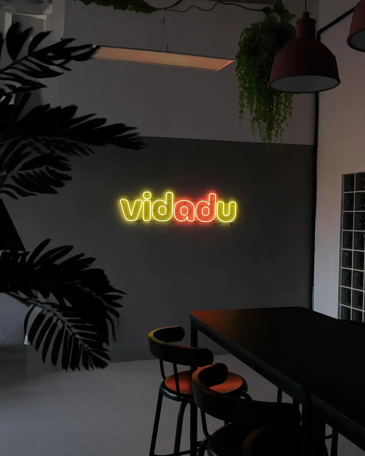 Neon Vidadu – Projekt von Neonworld